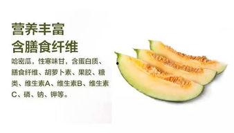 在吃哈密的瓜,一场舌尖上的旅行